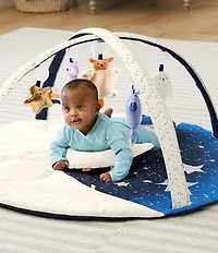 Skip Hop Celestial Dreams Activity Gym