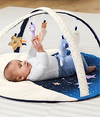 Skip Hop Celestial Dreams Activity Gym