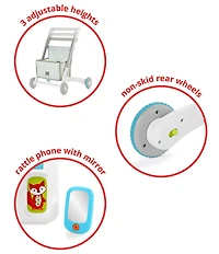 Skip Hop Explore & More Grow Along 4-in-1 Activity Walker