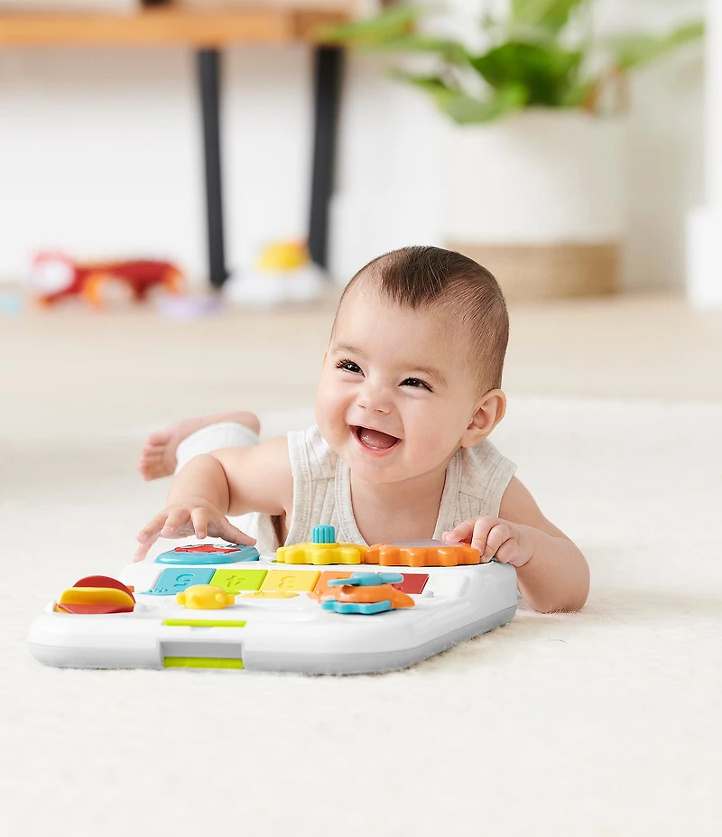 Skip Hop Explore & More Grow Along 4-in-1 Activity Walker