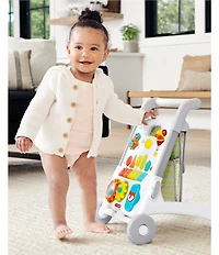 Skip Hop Explore & More Grow Along 4-in-1 Activity Walker
