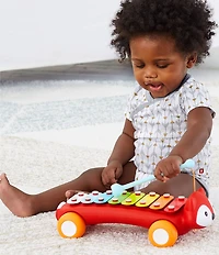 Skip Hop Instrumental Fox Musical Xylophone