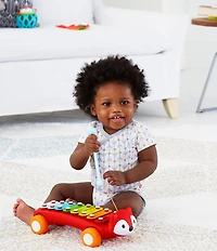 Skip Hop Instrumental Fox Musical Xylophone