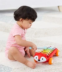 Skip Hop Instrumental Fox Musical Xylophone
