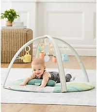Skip Hop Garden Oasis Activity Gym