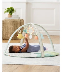 Skip Hop Garden Oasis Activity Gym
