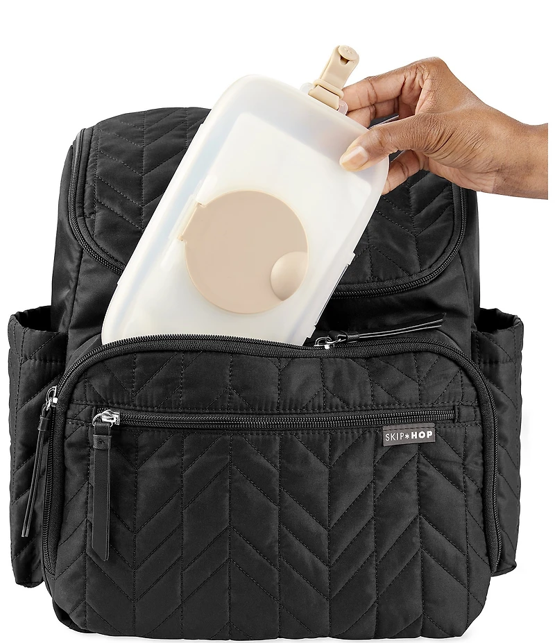 Skip Hop Grab Go Wipes Case