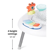 Skip Hop Seascape Two-In-One Activity Center