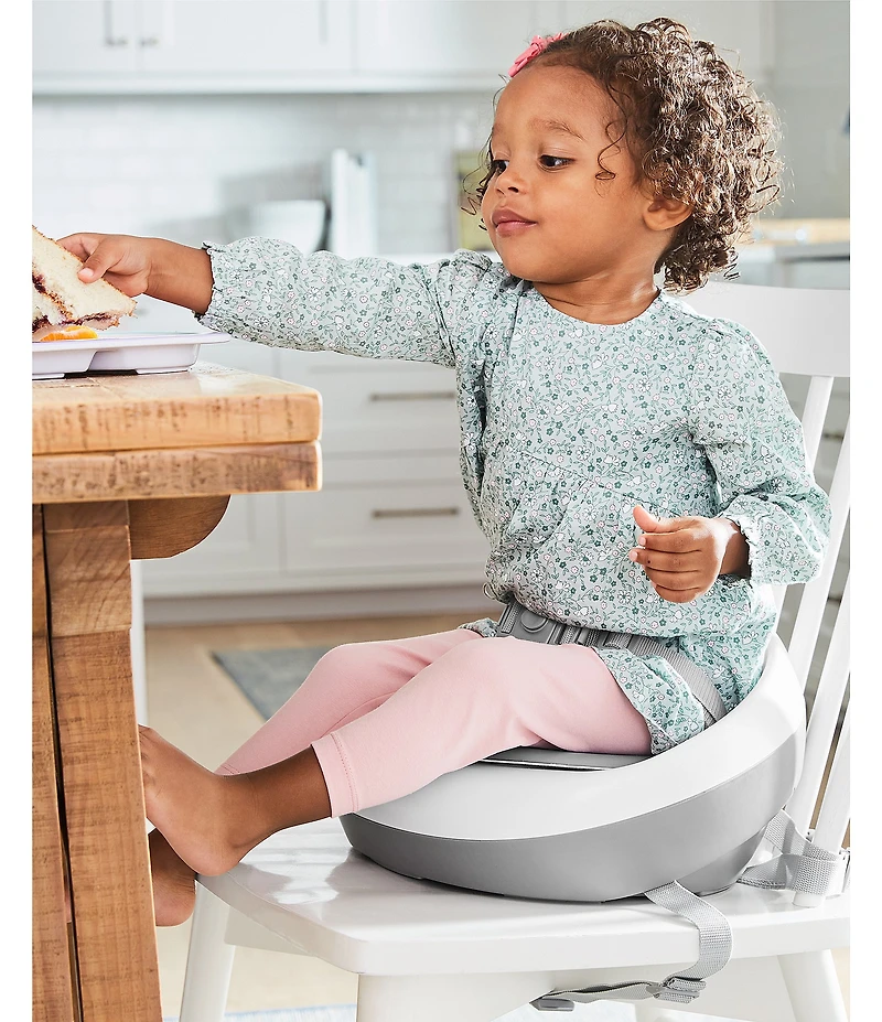 Skip Hop Sleek Seat Booster Seat