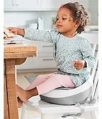 Skip Hop Sleek Seat Booster Seat