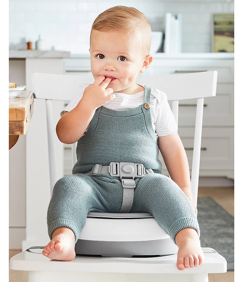 Skip Hop Sleek Seat Booster Seat