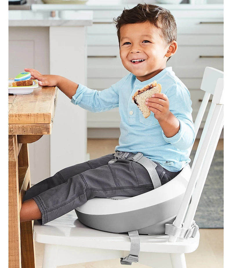 Skip Hop Sleek Seat Booster Seat