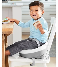 Skip Hop Sleek Seat Booster Seat