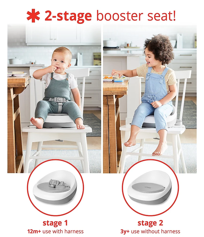 Skip Hop Sleek Seat Booster Seat