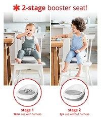 Skip Hop Sleek Seat Booster Seat