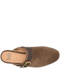 Sofft Giovanna Suede Buckle Clog