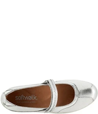 SoftWalk Dayton Metallic Leather and Mesh Mary Jane Flats