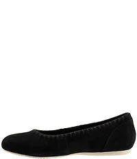 SoftWalk Sonoma Embroidery Suede Ballet Flats
