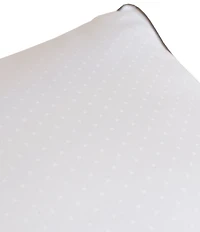 Southern Living Luxury Down Alternative Firm Pillow