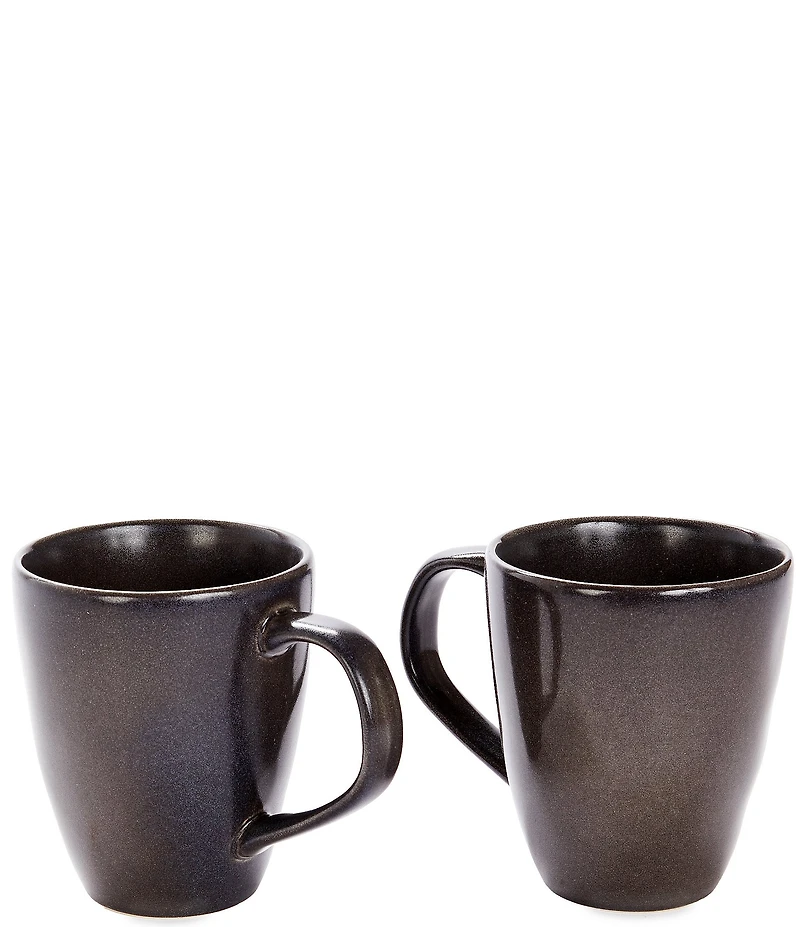 Southern Living Simplicity Collection Mesa Coffee Mugs, Set of 2