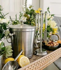 Southern Living Stainless Steel Beaded Bartool Set