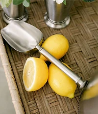 Southern Living Stainless Steel Beaded Ice Scoop