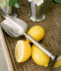 Southern Living Stainless Steel Beaded Ice Scoop