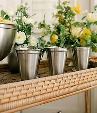 Southern Living Stainless Steel Beaded Mint Julep