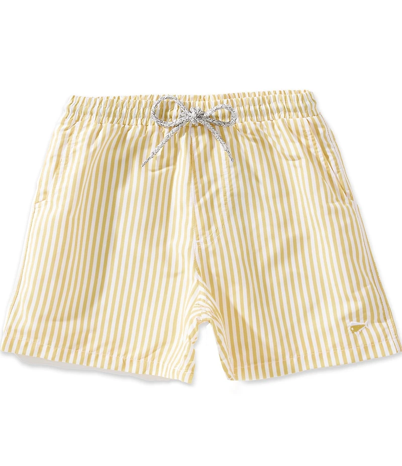 Southern Lure Big Boys Boys Cabana Striped Volley Swim Trunks