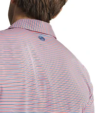 Southern Tide Pelican Landing Coastal Breeze Stripe Short Sleeve Polo Shirt