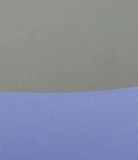SPANXshape™ ExtraOrdinary Thong Panty