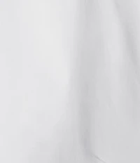 Spanx Poplin No-Gape Tailored Long Sleeve Point Collar Button Down Top