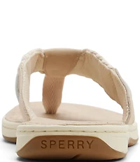 Sperry Women's Parrotfish Braided Flip Flops
