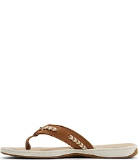 Sperry Women's Seafish 2 Braided Flip Flops