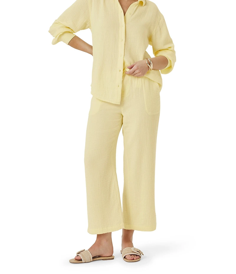 Splendid Adele Point Collar Long Sleeve Button Front Gauze Shirt