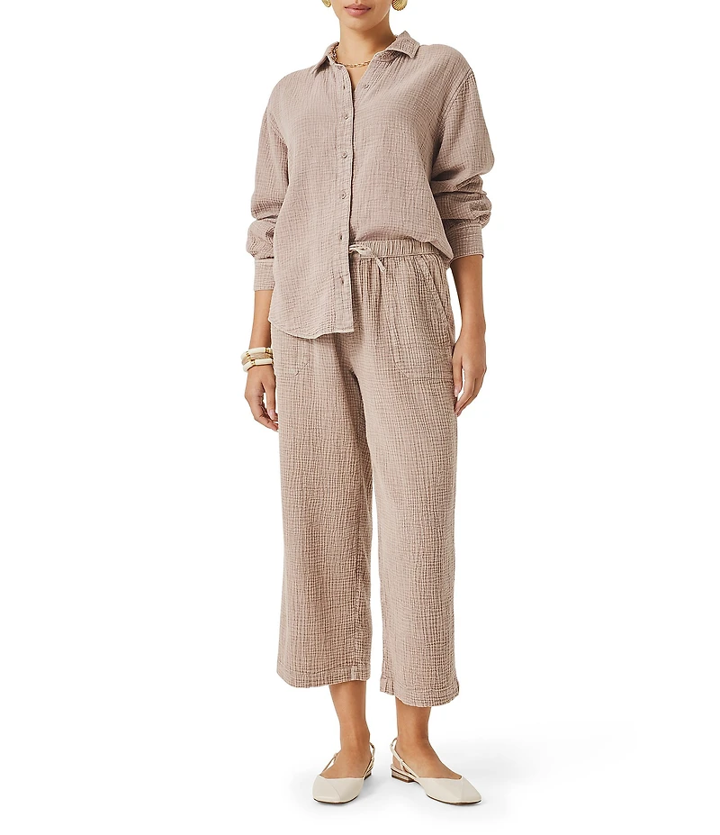 Splendid Adele Point Collar Long Sleeve Button Front Gauze Shirt