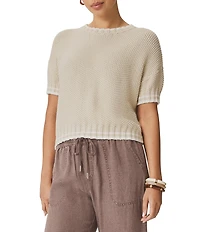 Splendid Annmarie Round Neck Short Sleeve Sweater