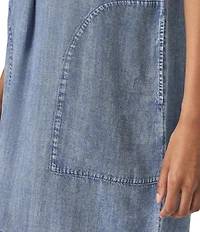 Splendid Wren Notch Collar Cap Sleeve A-Line Mini Dress