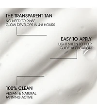 St Tropez Self Tan Purity Bronzing Water Mousse