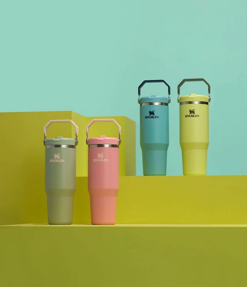 Stanley IceFlow Tumbler with Flip Straw