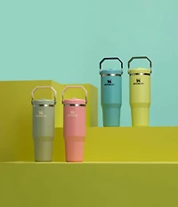 Stanley IceFlow Tumbler with Flip Straw