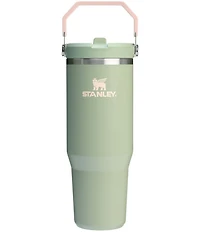 Stanley IceFlow Tumbler with Flip Straw