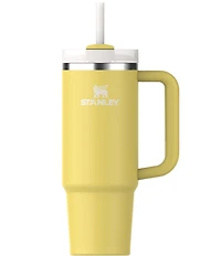 Stanley Quencher H2.0 FlowState Tumbler, 30-oz.