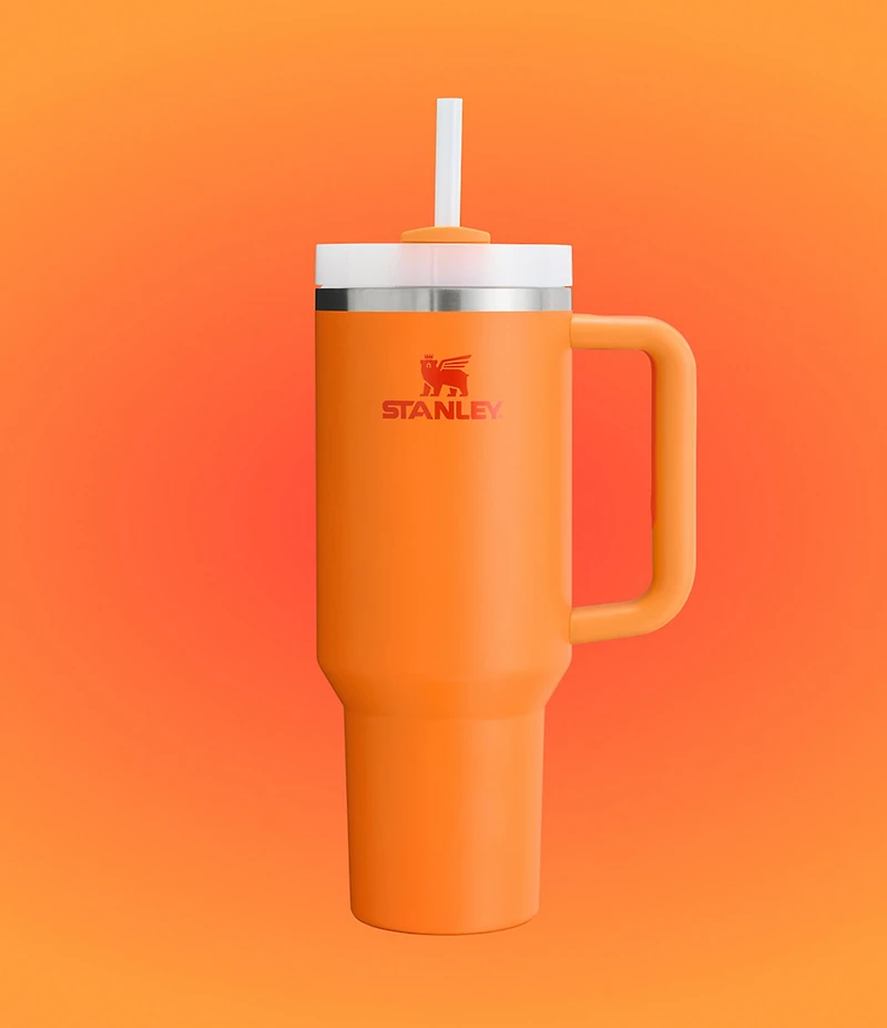 Stanley Quencher H2.0 FlowState Tumbler