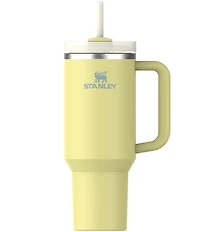 Stanley Quencher H2.0 FlowState Tumbler