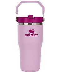 Stanley The IceFlow Tumbler with Flip Straw, 20 oz.