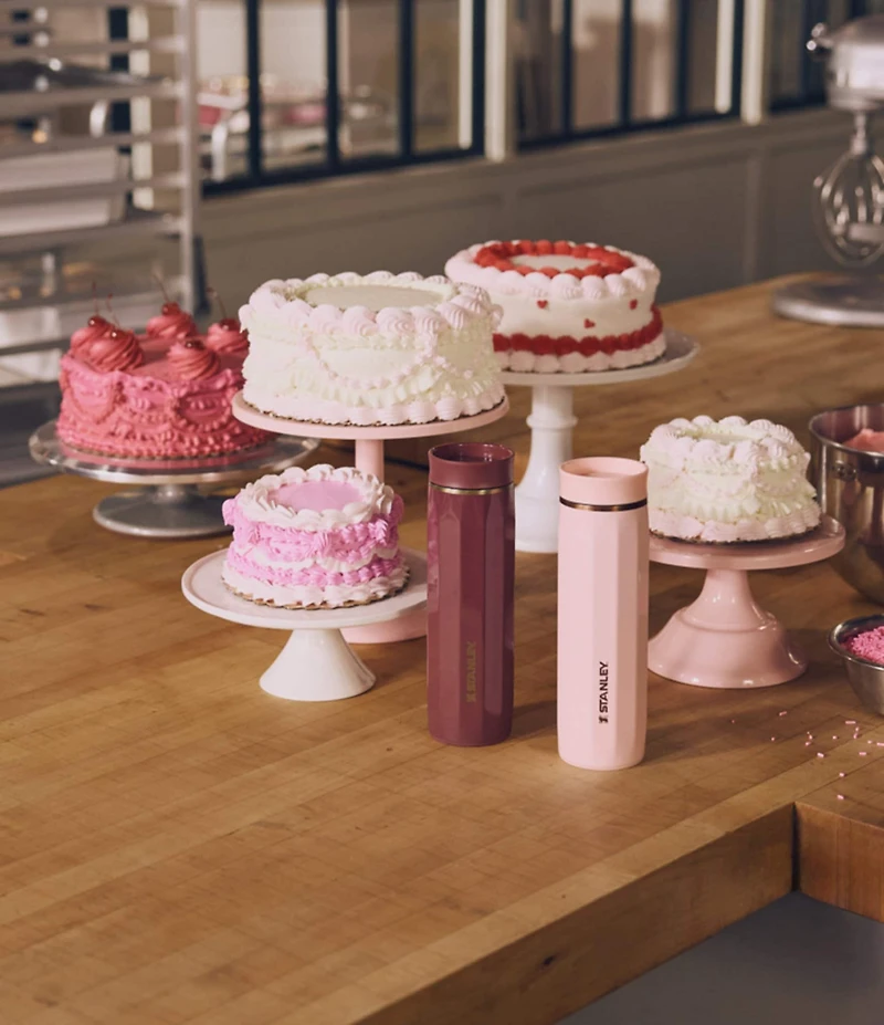 Stanley The Valentine's Collection The Transit Surround Mug,16 oz