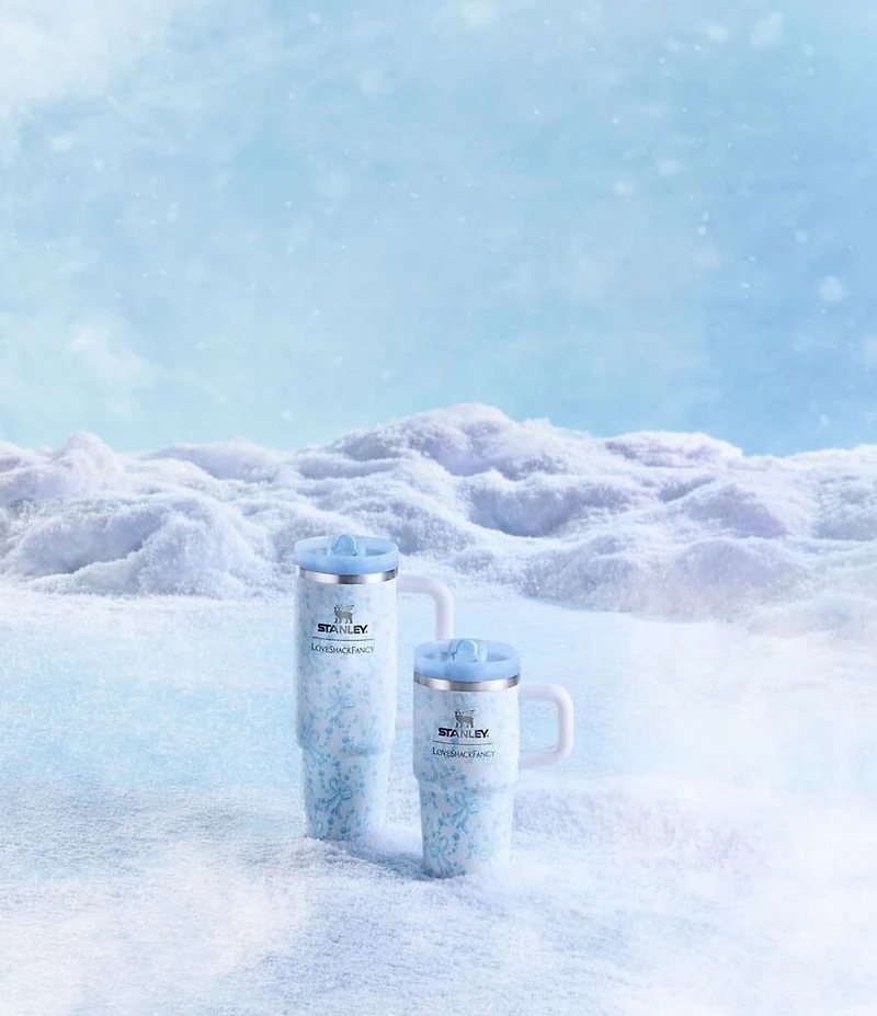 Stanley x LoveShackFancy Coquette Bow The Quencher® ProTour Tumbler Set