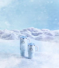 Stanley x LoveShackFancy Coquette Bow The Quencher® ProTour Tumbler Set