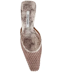 Steve Madden Alyse Snake Print Mesh Kitten Heel Dress Mules